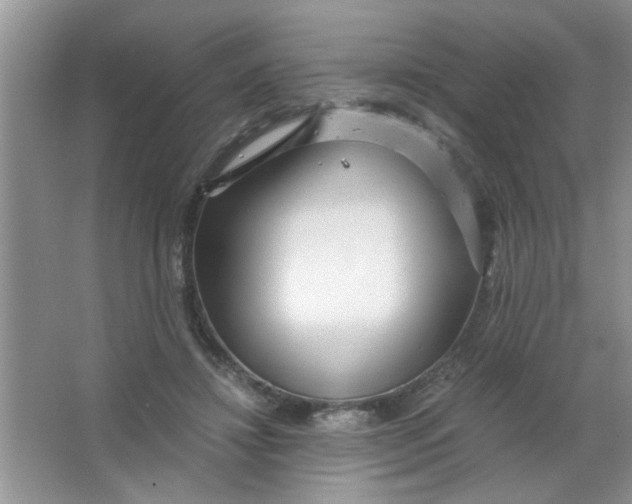 X0000063520452200602101956