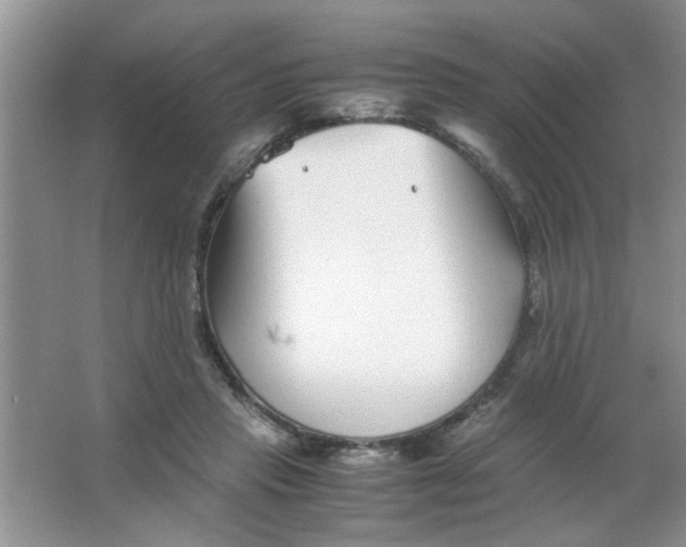 X0000063520453200602101956