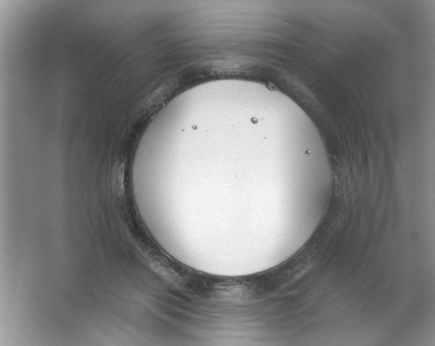 X0000063520454200602101956