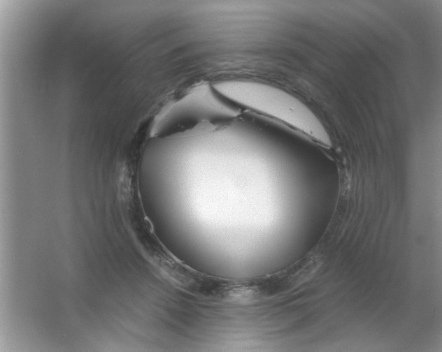 X0000063520456200602101956