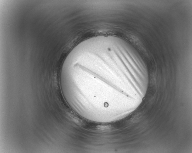 X0000063520457200602101956