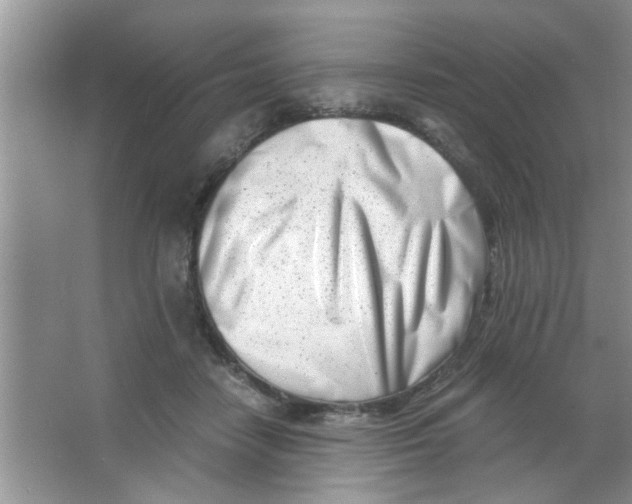 X0000063520458200602101956