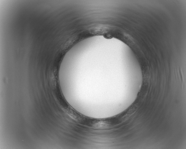 X0000063520460200602101956