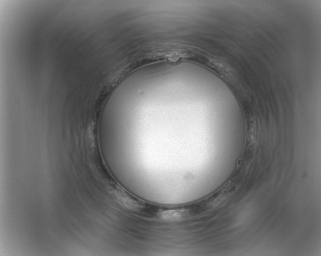 X0000063520461200602101956