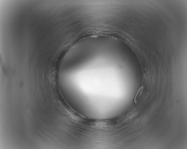 X0000063520462200602101956