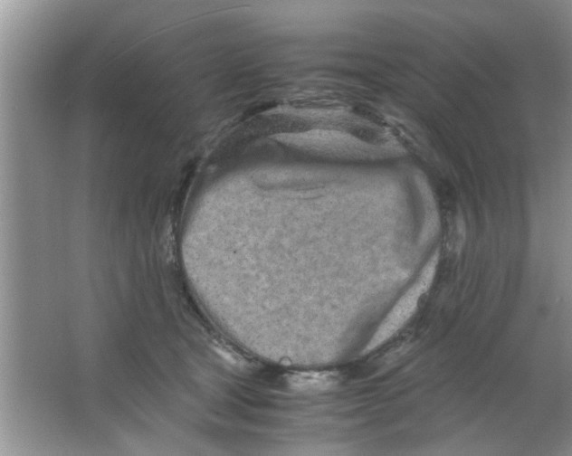 X0000063520465200602101956