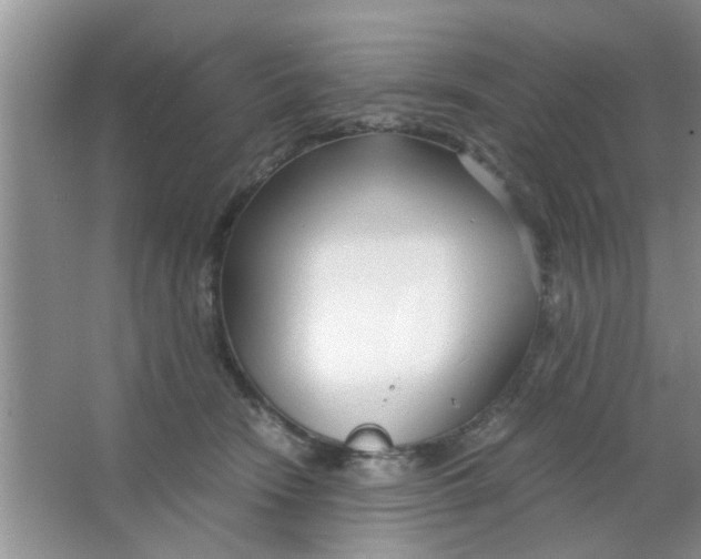 X0000063520466200602101956