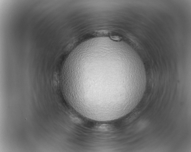 X0000063520467200602101956