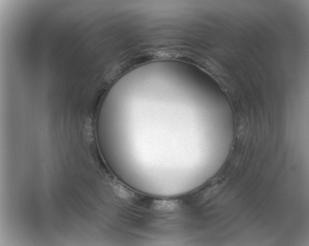 X0000063520469200602101956