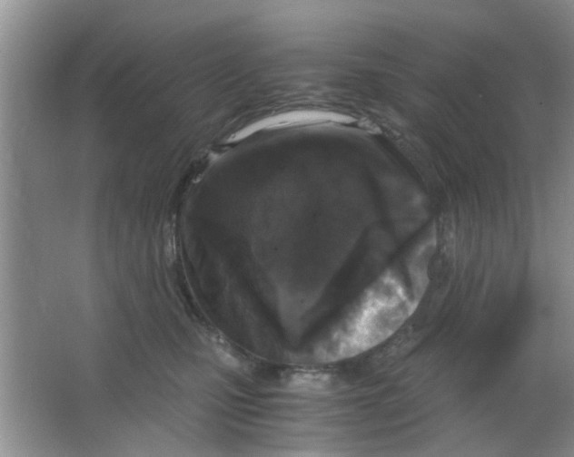 X0000063520471200602101956