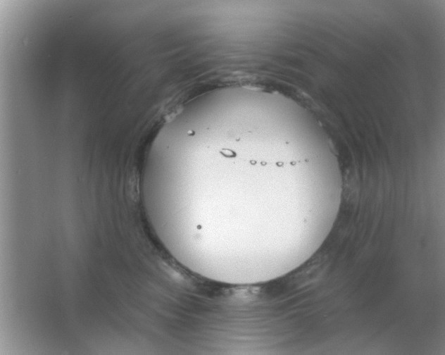 X0000063520474200602101956