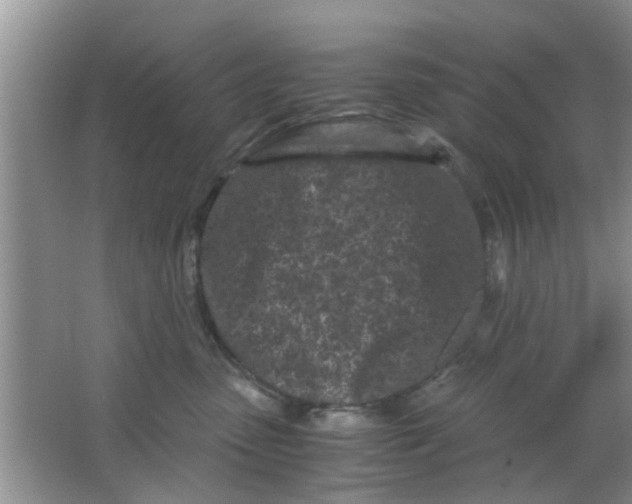 X0000063520475200602101956