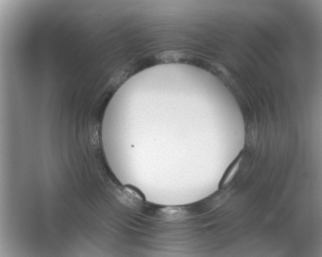 X0000063520477200602101956