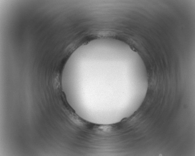 X0000063520478200602101956