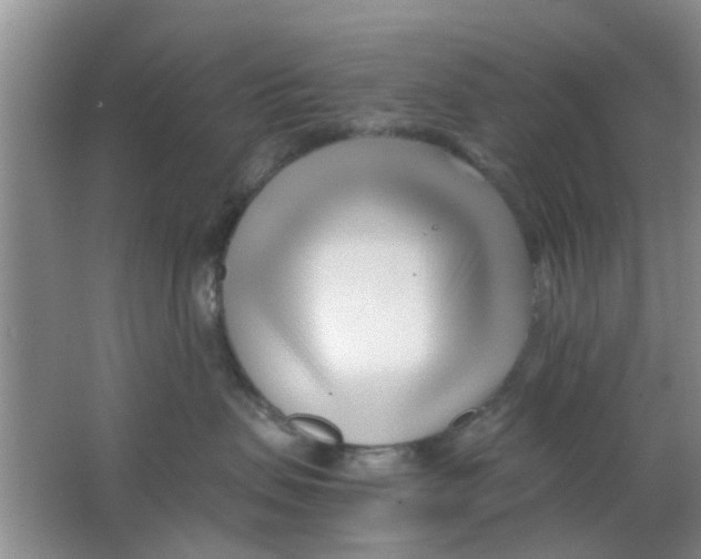 X0000063520479200602101956