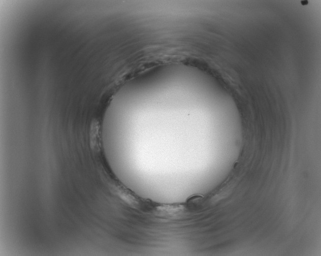 X0000063520480200602101956