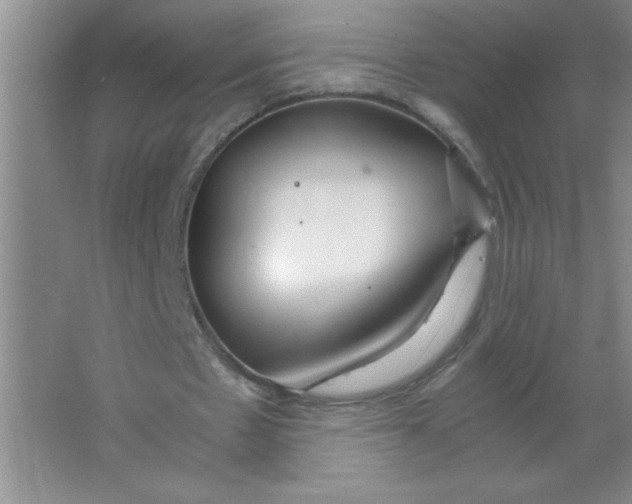 X0000063520481200602101955