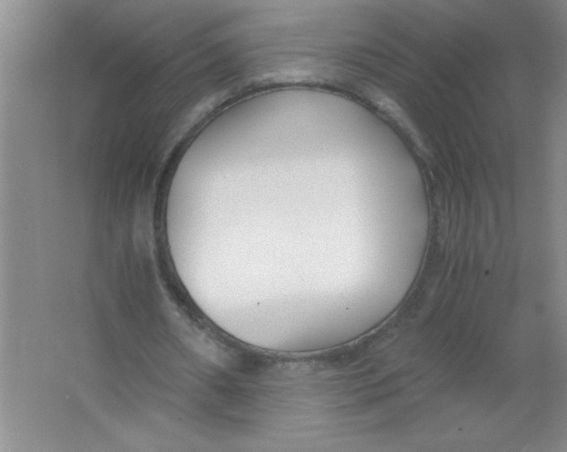 X0000063520482200602101955