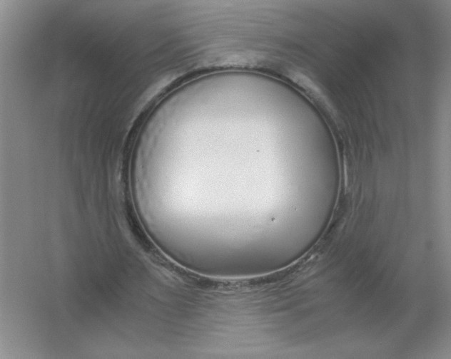 X0000063520483200602101955