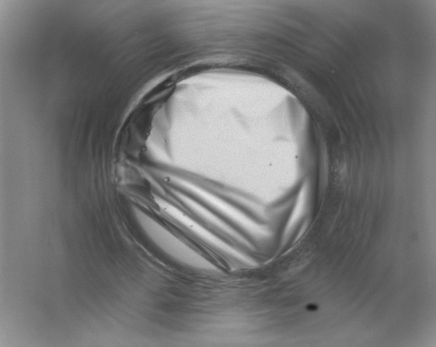 X0000063520484200602101955