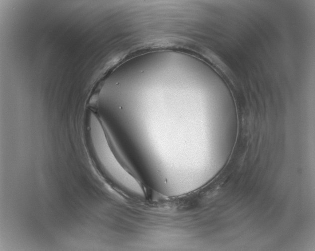 X0000063520485200602101955