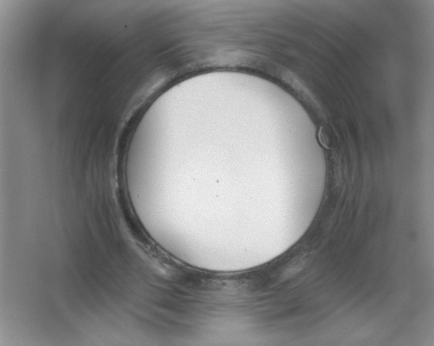 X0000063520486200602101955