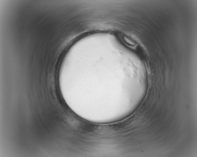 X0000063520487200602101955