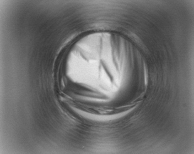 X0000063520488200602101955