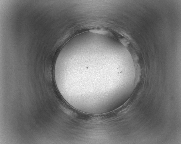 X0000063520489200602101955