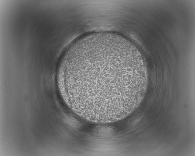 X0000063520491200602101955