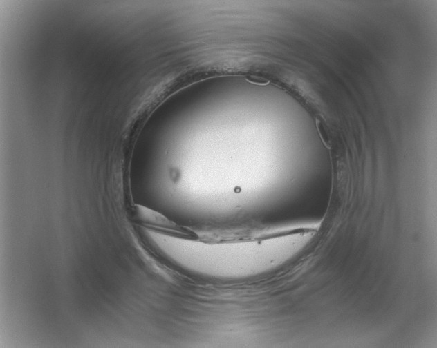 X0000063520493200602101955