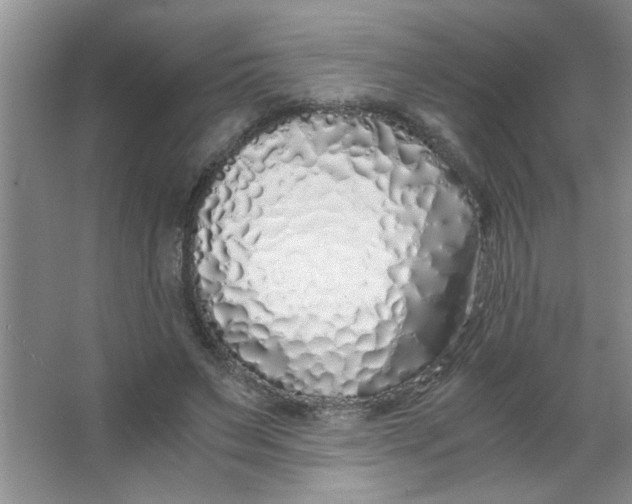 X0000063520495200602101955