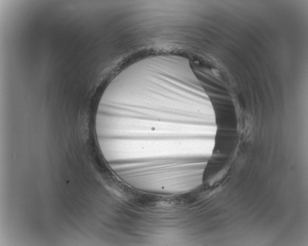 X0000063520496200602101955