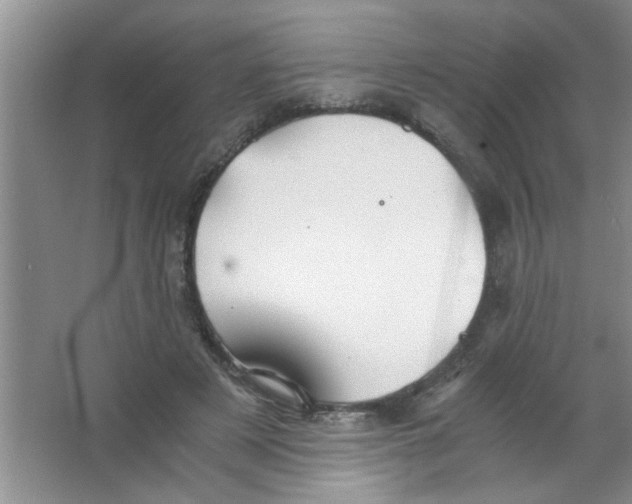 X0000063520497200602101955