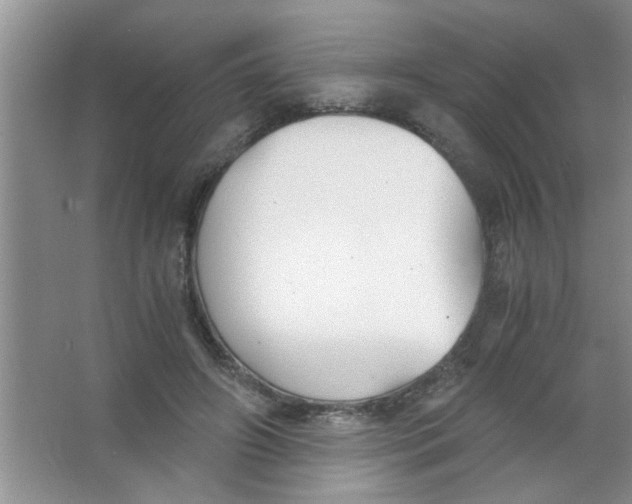 X0000063520498200602101955