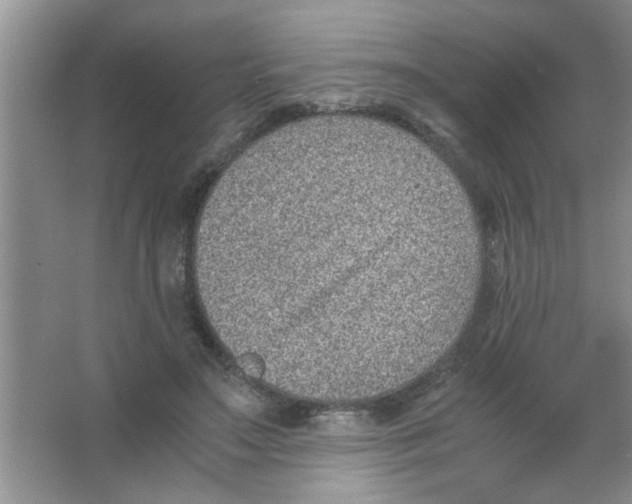 X0000063520499200602101955