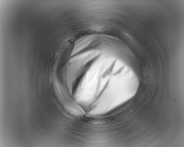 X0000063520500200602101955