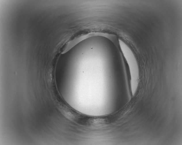 X0000063520501200602101955