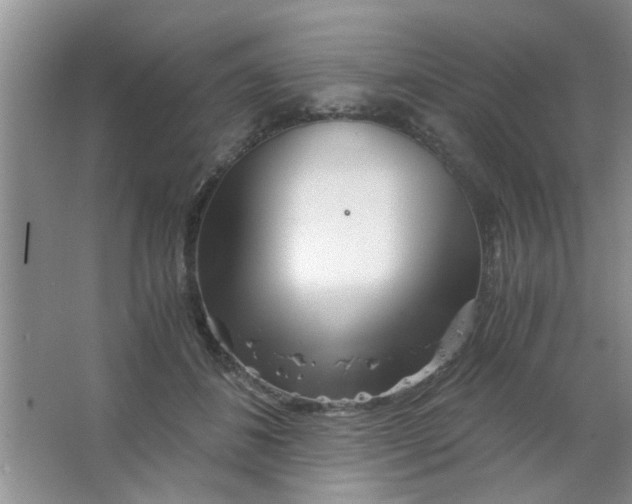 X0000063520508200602101955