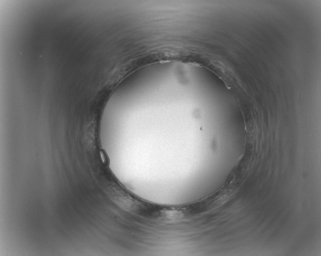 X0000063520509200602101955