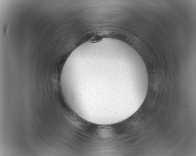 X0000063520510200602101955