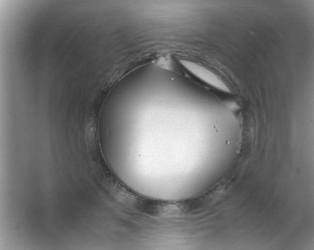 X0000063520513200602101955