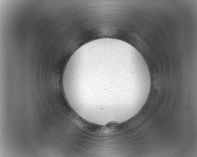 X0000063520514200602101955