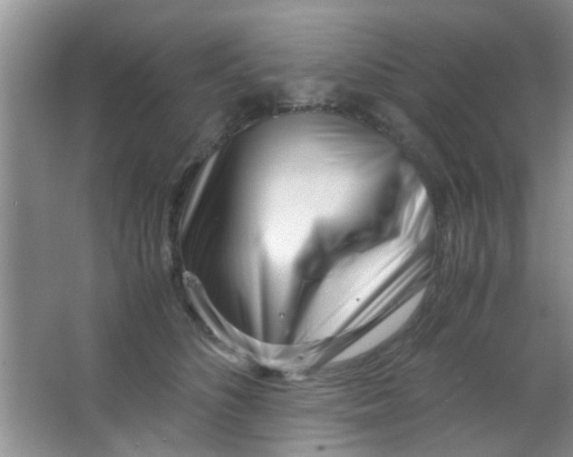 X0000063520516200602101955