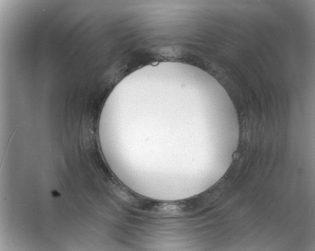 X0000063520518200602101955