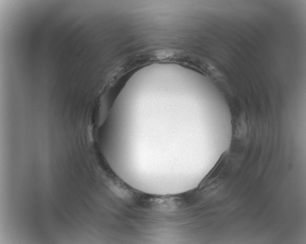 X0000063520524200602101955