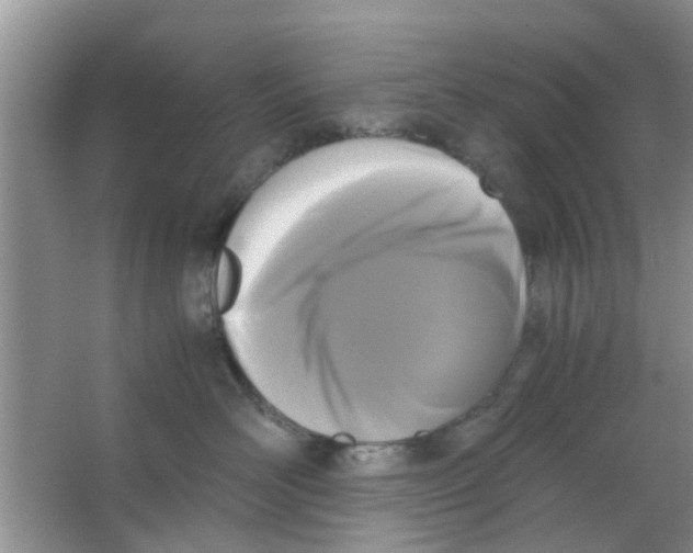 X0000063520526200602101955