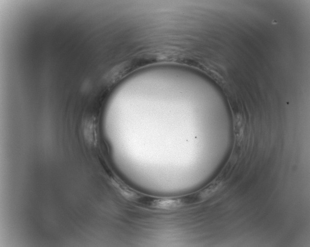 X0000063520527200602101954