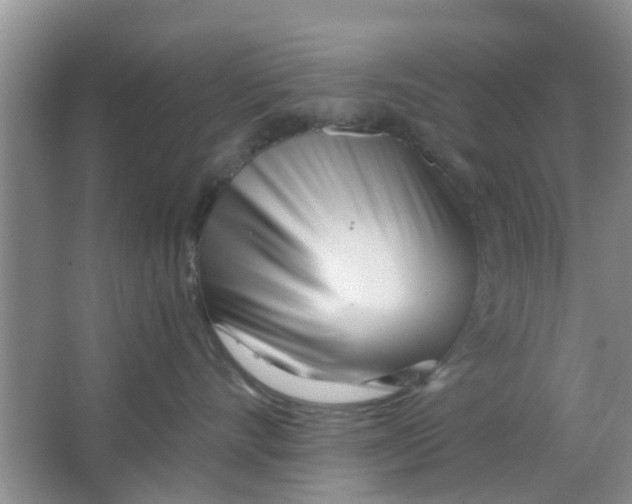 X0000063520528200602101954