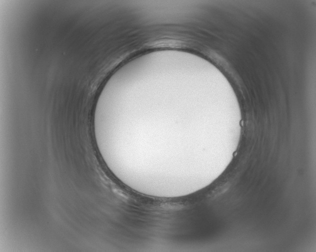 X0000063520529200602101954